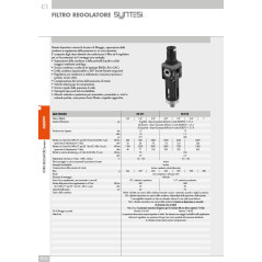 FILTRO REGOLATORE SY2 1/2 - 20 012 RMSA